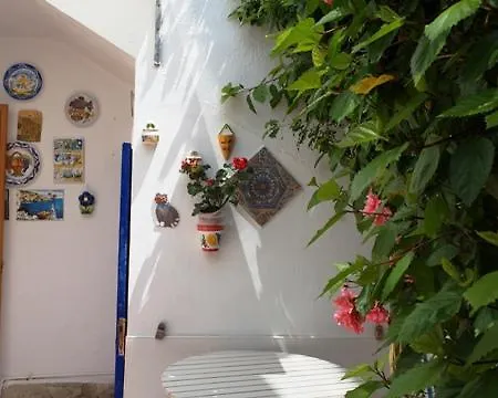 Patio Andaluz