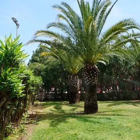 Apartment Patio Andaluz