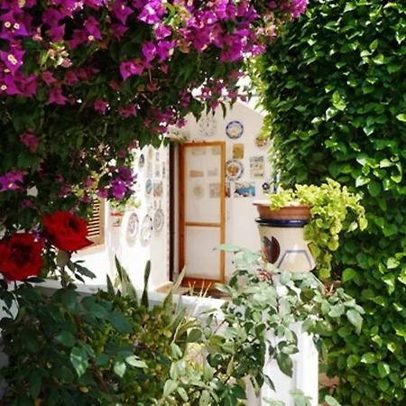 Patio Andaluz دينايا